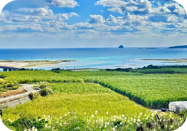 大自然に囲まれた離島「久米島」